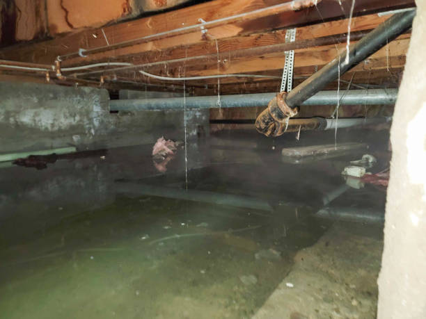 Best Residential water damage restoration  in East Vineland, NJ