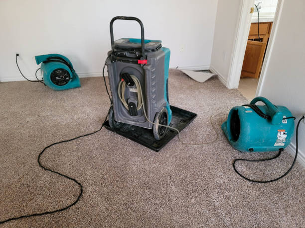 Best Commercial water damage restoration  in East Vineland, NJ