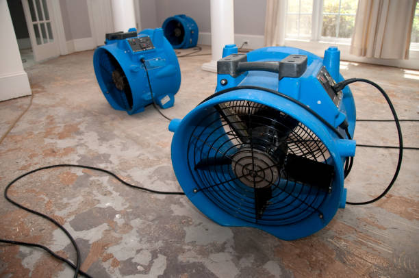 Best Residential water damage restoration  in East Vineland, NJ