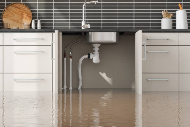 Best Water damage restoration mold remediation  in East Vineland, NJ