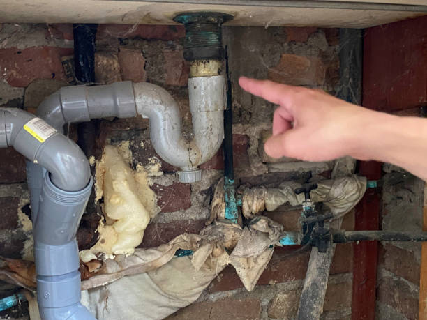 Best Water damage restoration near me  in East Vineland, NJ