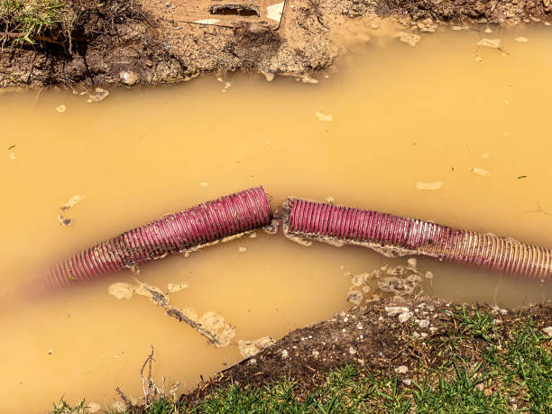 Best Water damage restoration near me  in East Vineland, NJ