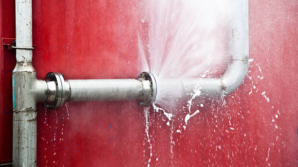 Best Professional water damage repair  in East Vineland, NJ