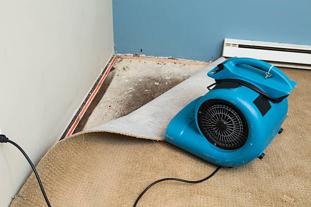 Best Carpet water damage restoration  in East Vineland, NJ